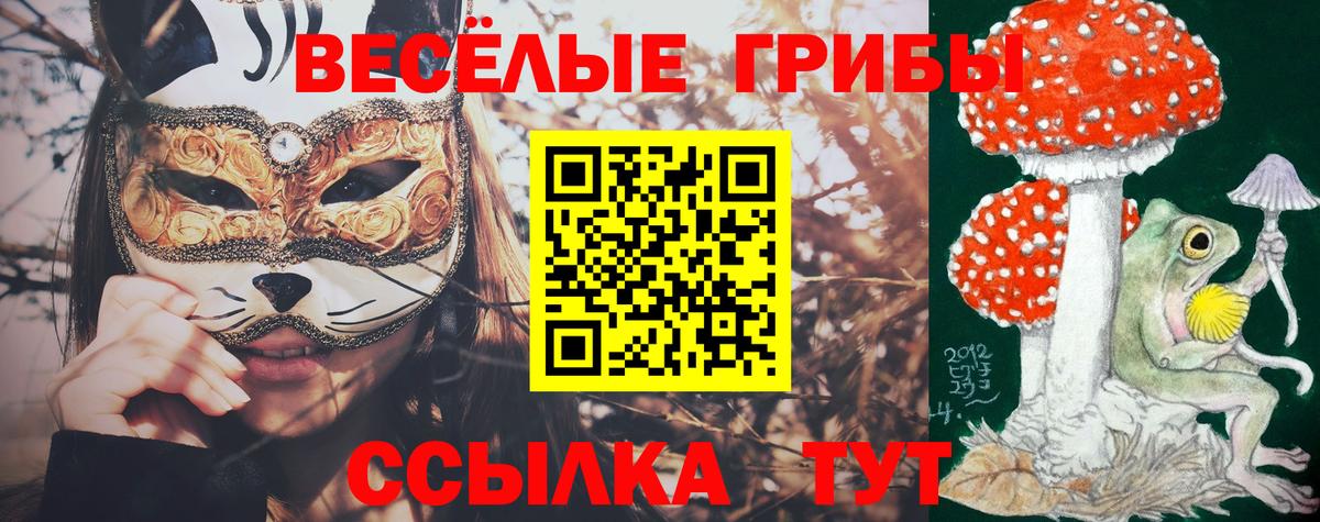Галлюциногенные грибы мухоморы Волхов