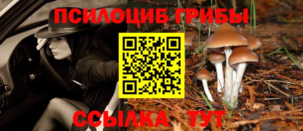 Псилоцибиновые грибы Psilocybine cubensis  Вход с VPN  Волхов 